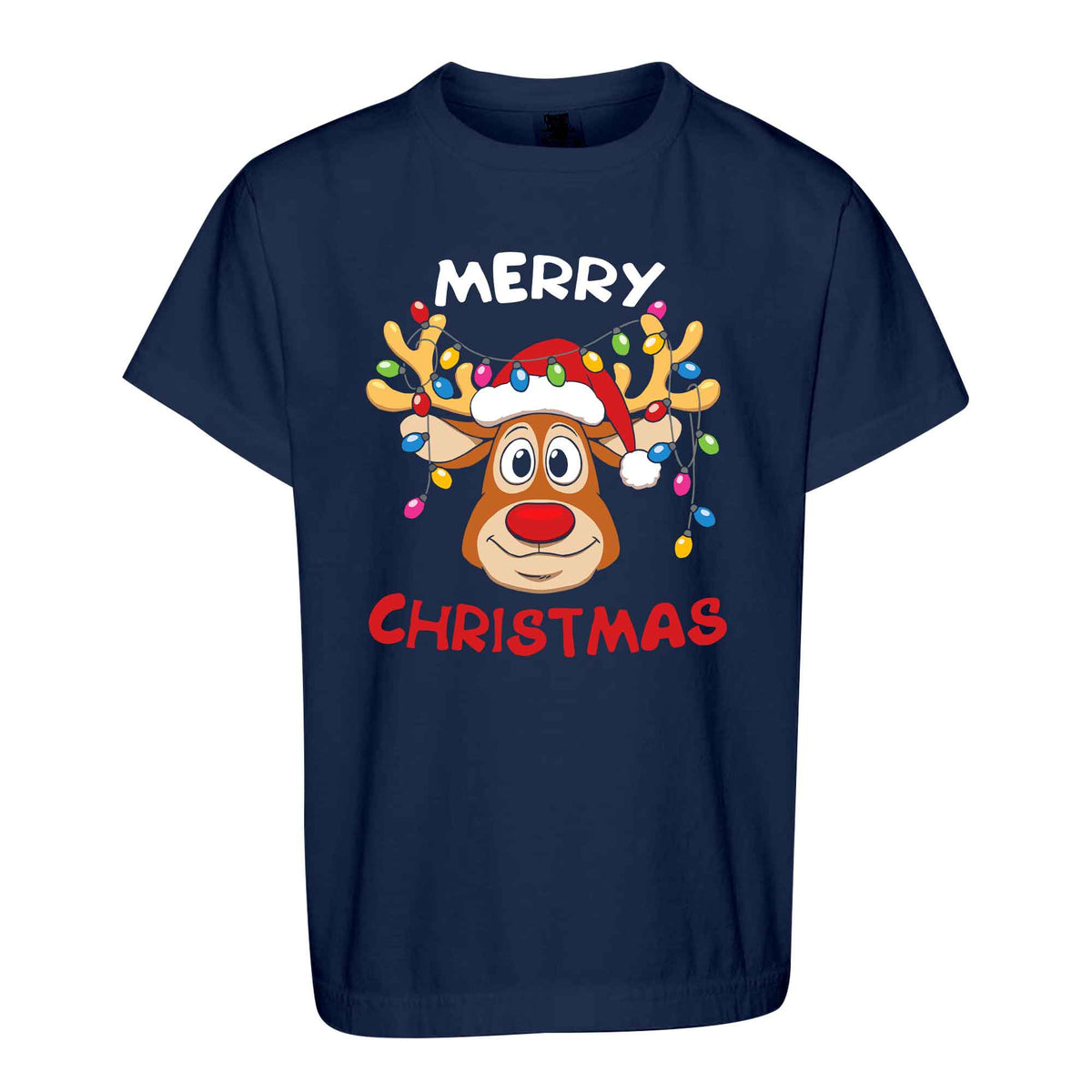 Matching Family Christmas Shirts, Merry Christmas Santa Hat Graphic Tees, Christmas Gift for Family