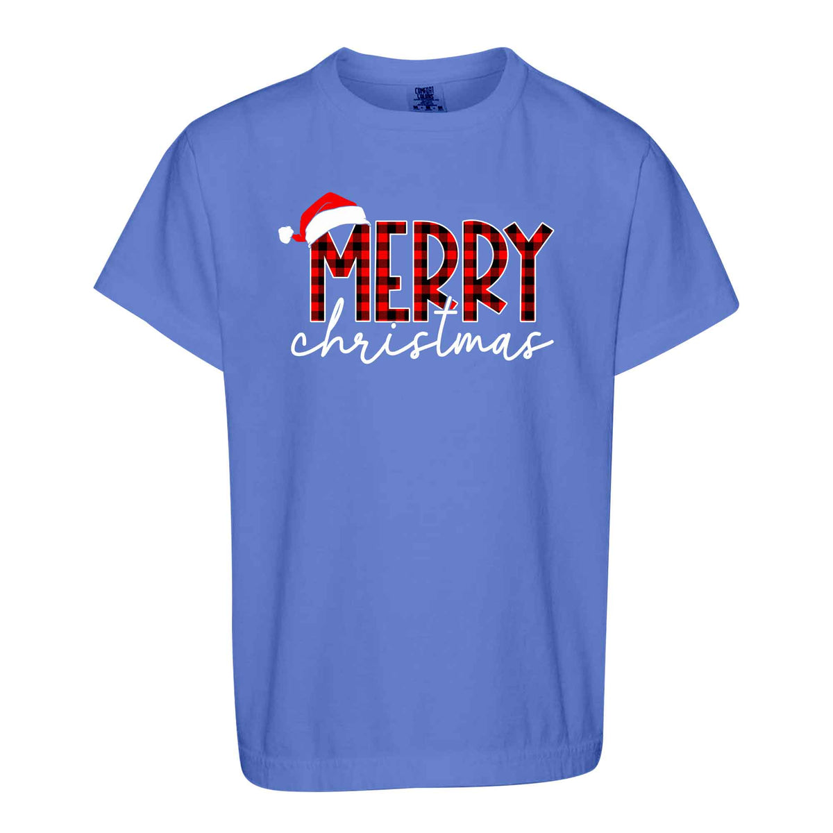 Matching Family Christmas Shirts, Merry Christmas Santa Hat Graphic Tees, Christmas Gift for Family