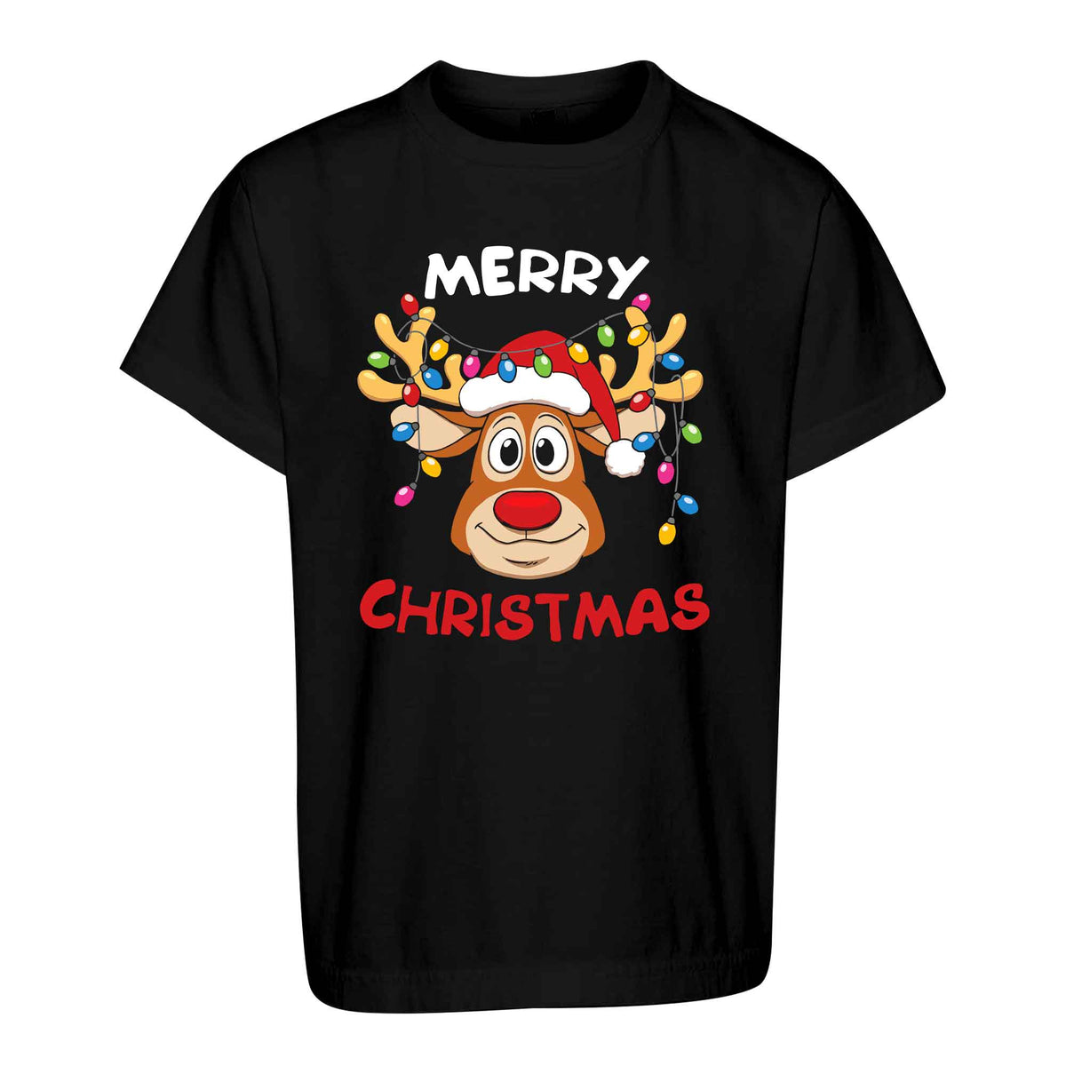 Matching Family Christmas Shirts, Merry Christmas Santa Hat Graphic Tees, Christmas Gift for Family