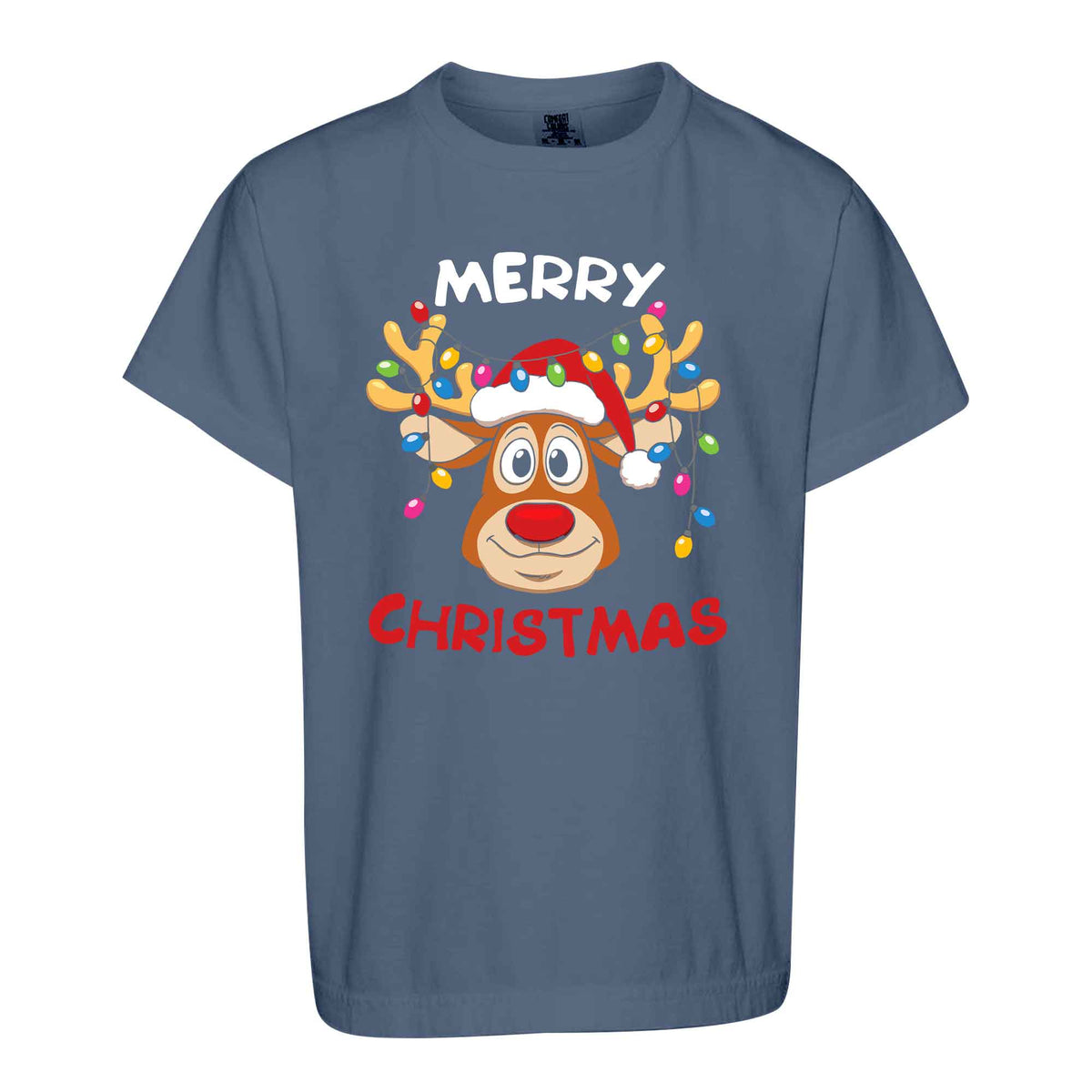 Matching Family Christmas Shirts, Merry Christmas Santa Hat Graphic Tees, Christmas Gift for Family