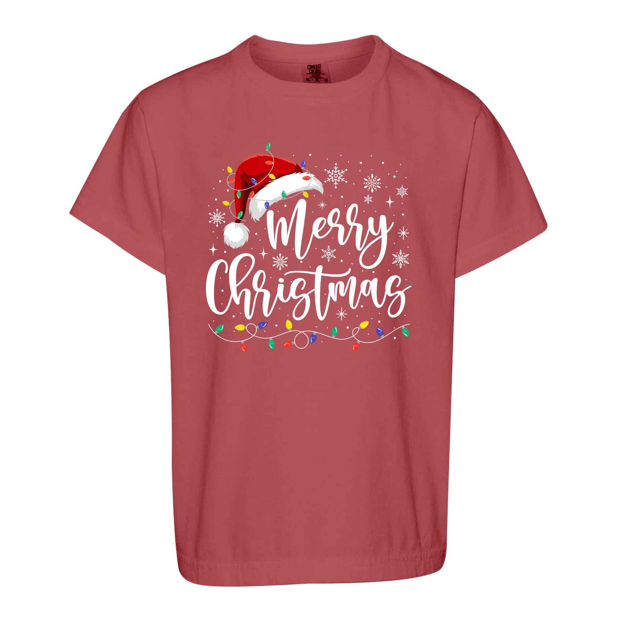Matching Family Christmas Shirts, Merry Christmas Santa Hat Graphic Tees, Christmas Gift for Family