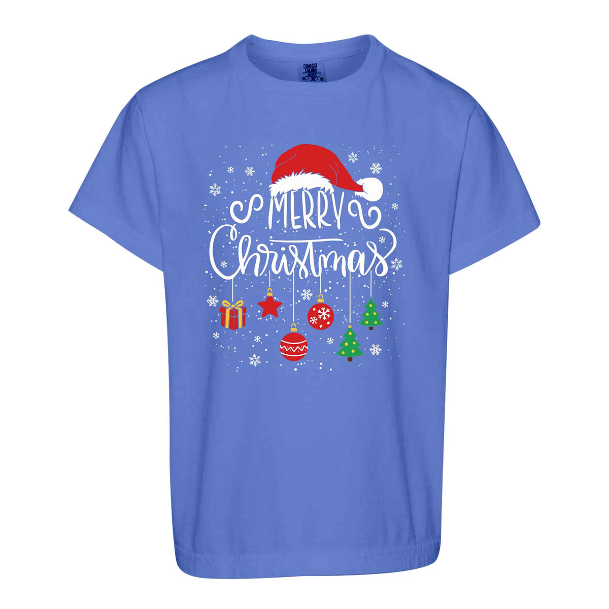 Matching Family Christmas Shirts, Merry Christmas Santa Hat Graphic Tees, Christmas Gift for Family