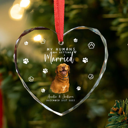 First Christmas Married Ornament 2025 For Pet Lovers
