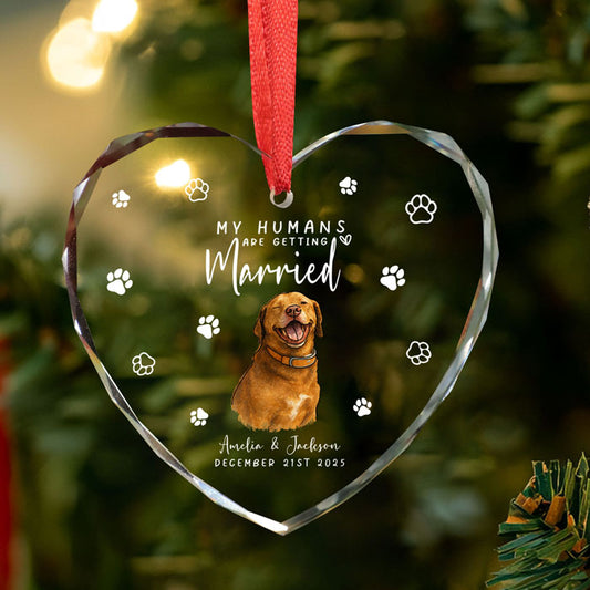 First Christmas Married Ornament 2025 For Pet Lovers
