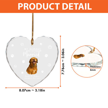 First Christmas Married Ornament 2025 For Pet Lovers