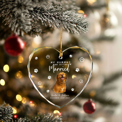 First Christmas Married Ornament 2025 For Pet Lovers