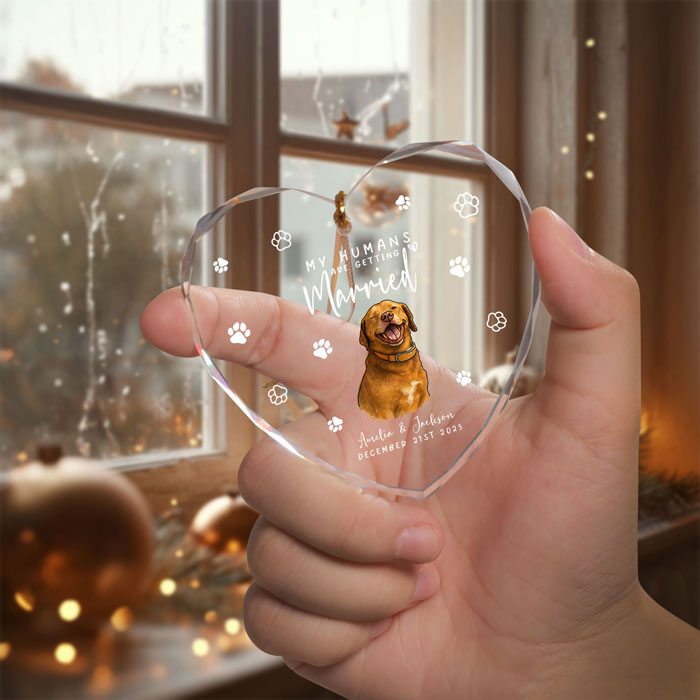 First Christmas Married Ornament 2025 For Pet Lovers