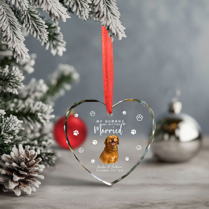 First Christmas Married Ornament 2025 For Pet Lovers
