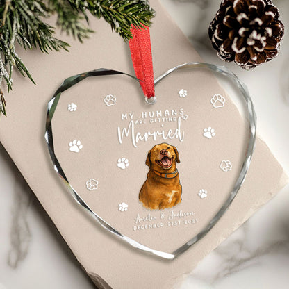 First Christmas Married Ornament 2025 For Pet Lovers
