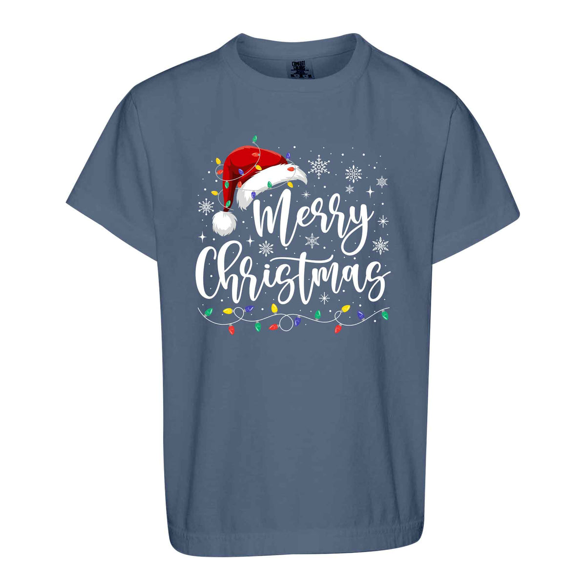 Matching Family Christmas Shirts, Merry Christmas Santa Hat Graphic Tees, Christmas Gift for Family