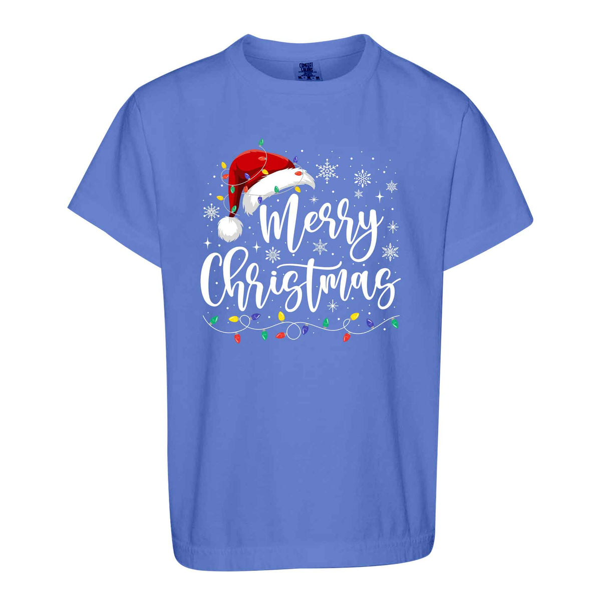 Matching Family Christmas Shirts, Merry Christmas Santa Hat Graphic Tees, Christmas Gift for Family