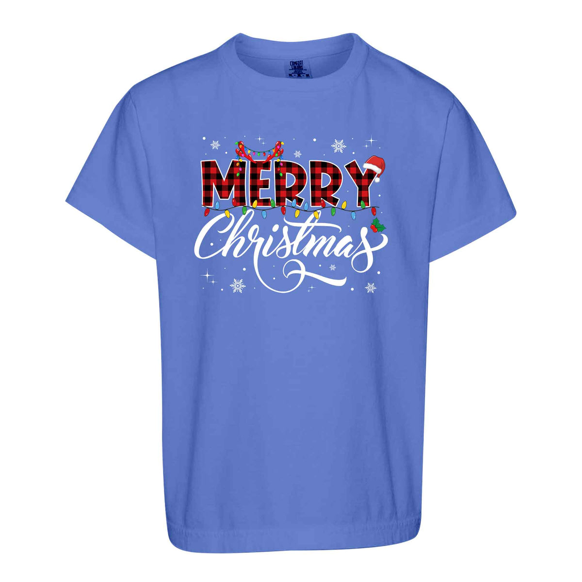 Matching Family Christmas Shirts, Merry Christmas Santa Hat Graphic Tees, Christmas Gift for Family