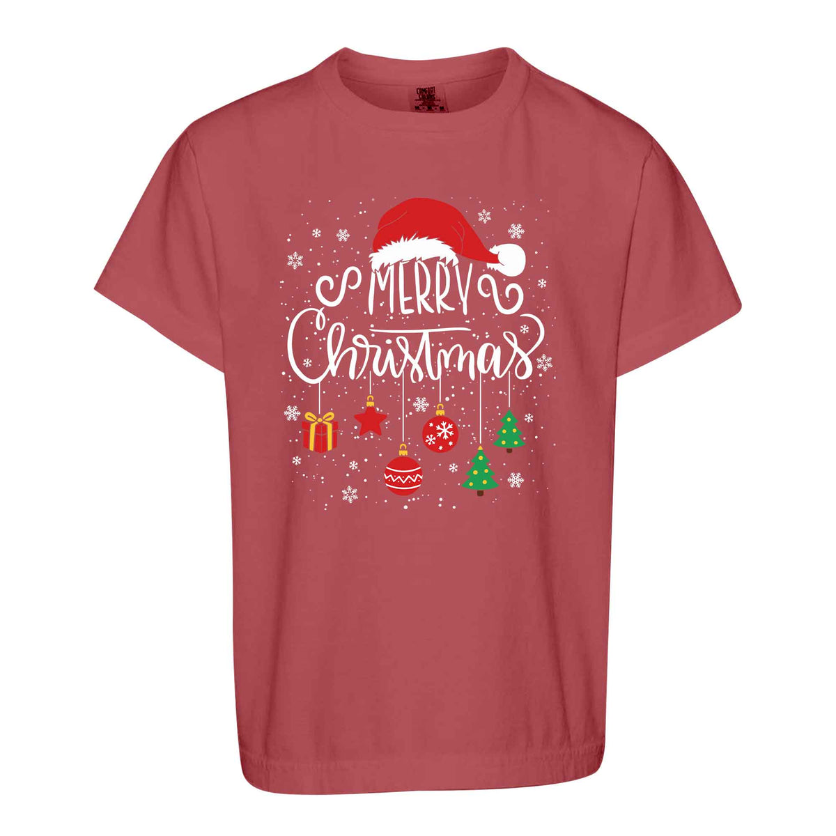 Matching Family Christmas Shirts, Merry Christmas Santa Hat Graphic Tees, Christmas Gift for Family