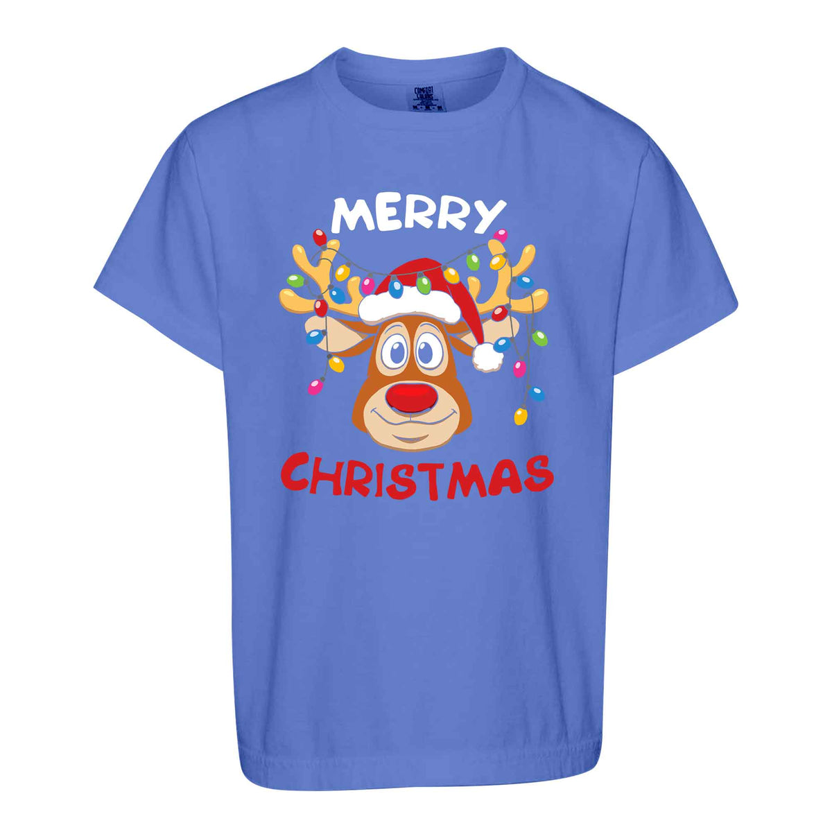 Matching Family Christmas Shirts, Merry Christmas Santa Hat Graphic Tees, Christmas Gift for Family